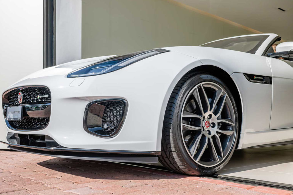 jaguar_grueze_CH_11